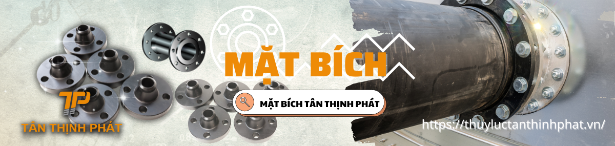 MẶT BÍCH